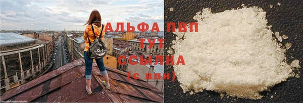 мяу мяу мука Бикин