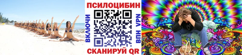 Псилоцибиновые грибы MAGIC MUSHROOMS  Владикавказ 