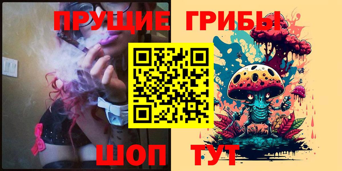 Галлюциногенные грибы Cubensis Владикавказ