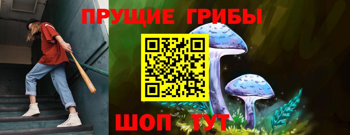 Псилоцибиновые грибы Psilocybine cubensis Владикавказ